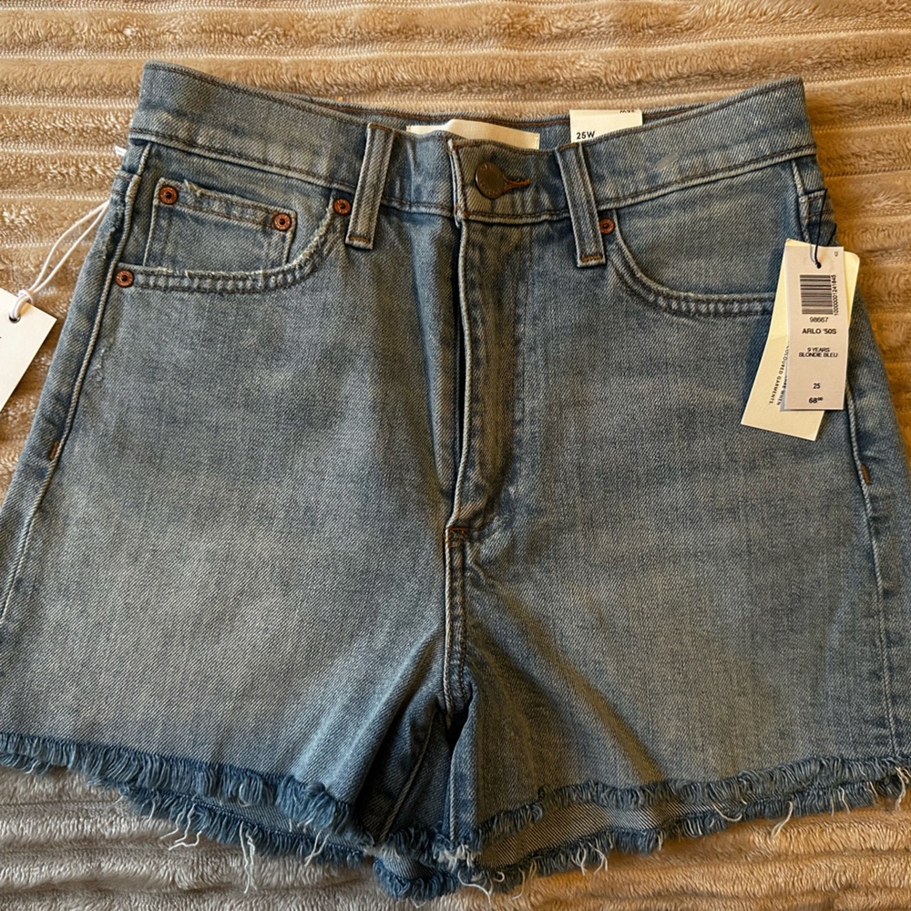 Aritzia Light Blue '50s Arlo Shorts
